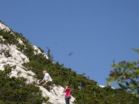 DSC00972  Premuzic Mountain Trail, July 25-27, 2013