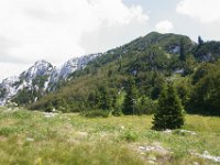 DSC01008-M067EV  Premuzic Mountain Trail, July 25-27, 2013