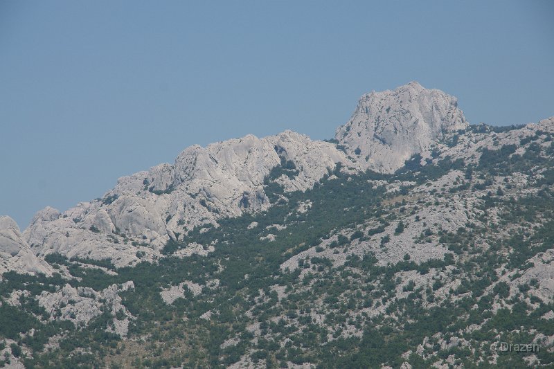 DSC06286.JPG
