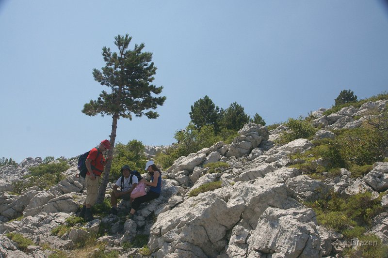 DSC06320.JPG - Svaki komad hlada je važan na +40