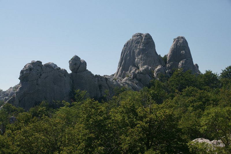 DSC06530.JPG