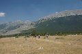 DSC06291