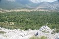 DSC06305