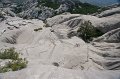 DSC06414