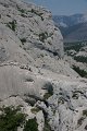 DSC06415