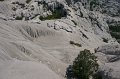 DSC06429