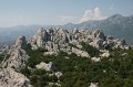 DSC06520