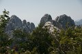 DSC06521