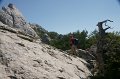 DSC06531