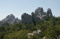 DSC06533