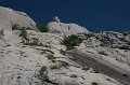 DSC06536
