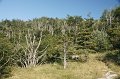 DSC06560