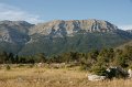 DSC06581