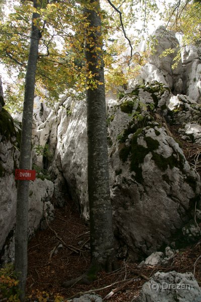 DSC07156.JPG - Dvori