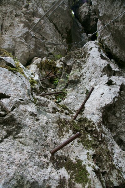 DSC07207.JPG