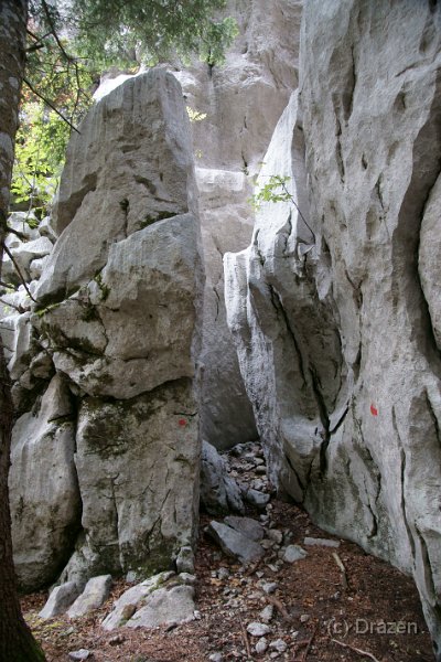 DSC07251.JPG