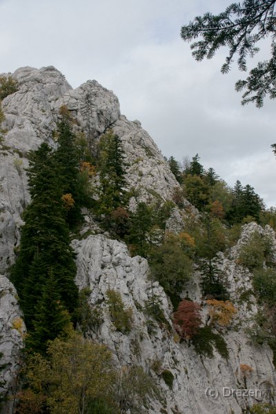 DSC07262.JPG - Bili Kuk s drvećem  u bojama