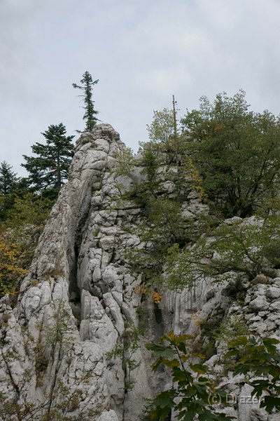 DSC07280.JPG - "Drveni" križ