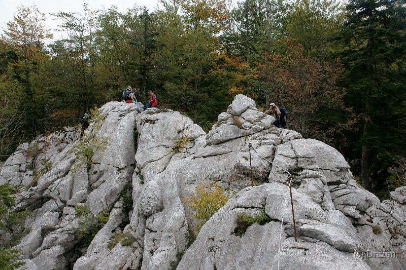 DSC07297.JPG