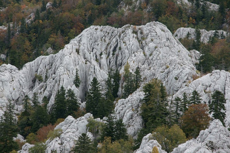 DSC07327.JPG