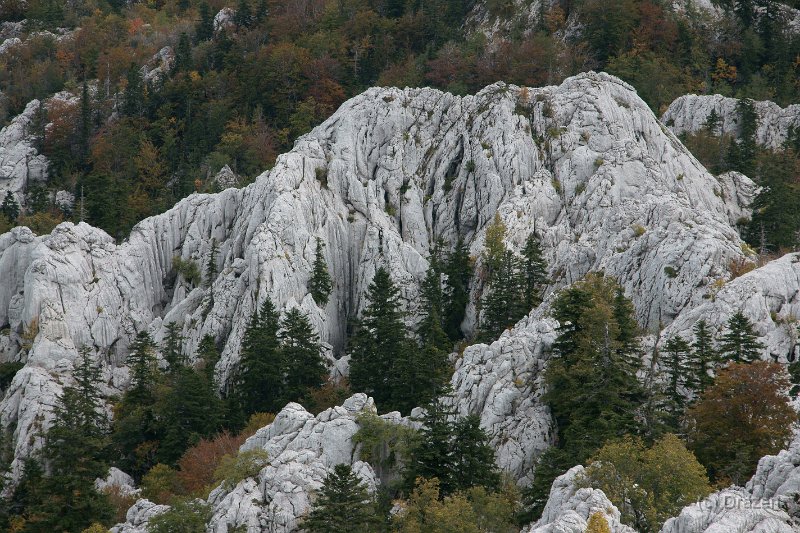 DSC07333.JPG