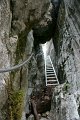 DSC07206