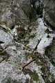 DSC07207