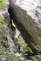 DSC07209