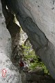 DSC07210
