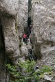 DSC07235