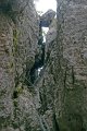 DSC07241