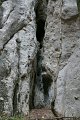 DSC07249