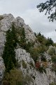 DSC07262
