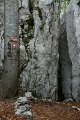 DSC07269