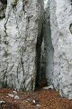 DSC07270