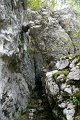 DSC07281
