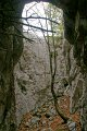DSC07288