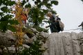 DSC07290