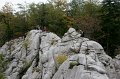 DSC07297