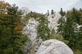 DSC07304