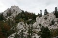 DSC07307