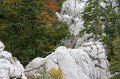 DSC07309