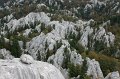 DSC07320