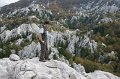DSC07335