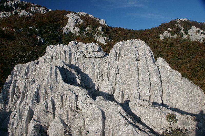 DSC07370.JPG