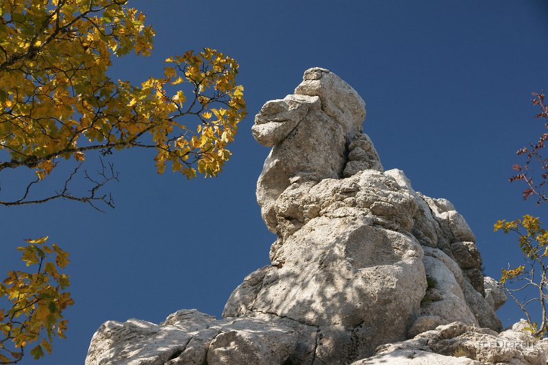 DSC07381.JPG