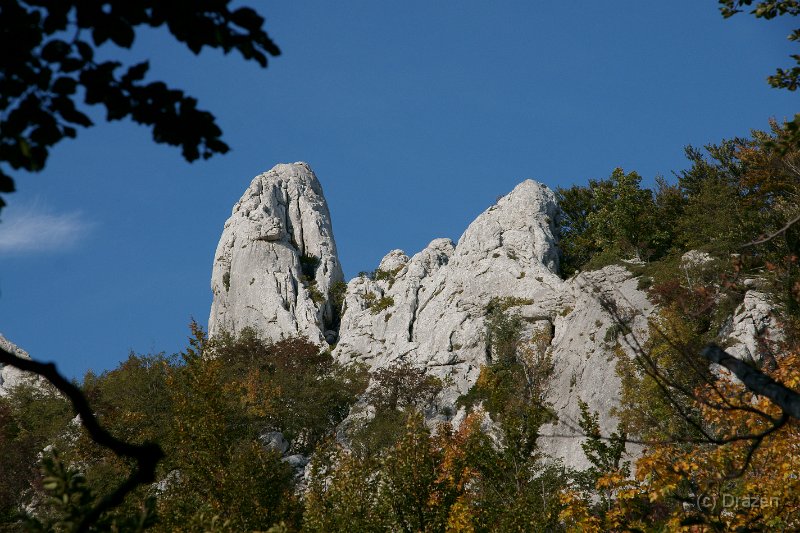 DSC07495.JPG