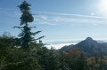 DSC07368