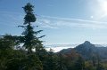 DSC07375