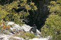 DSC07376